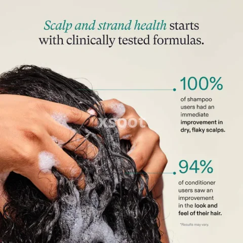 Buy Volumizing Shampoo & Conditioner Duo for Thinning Hair