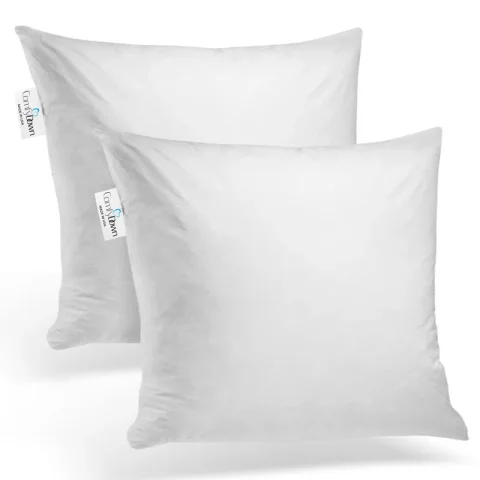 Buy Decorative Down Feather Pillow Inserts (Set of 2)