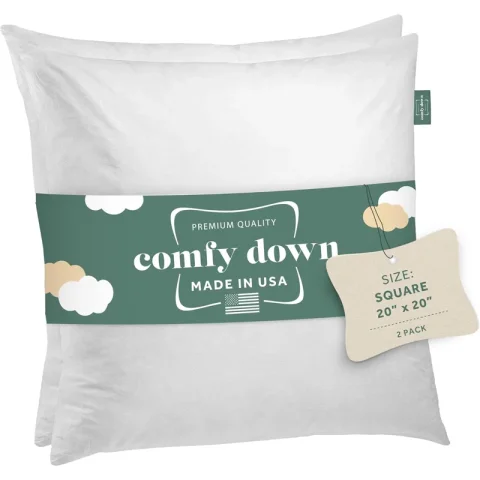 Buy Decorative Down Feather Pillow Inserts (Set of 2)