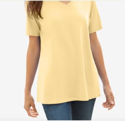 Buy Woman Within Plus Size V-Neck Tee - Perfect Everyday Fit